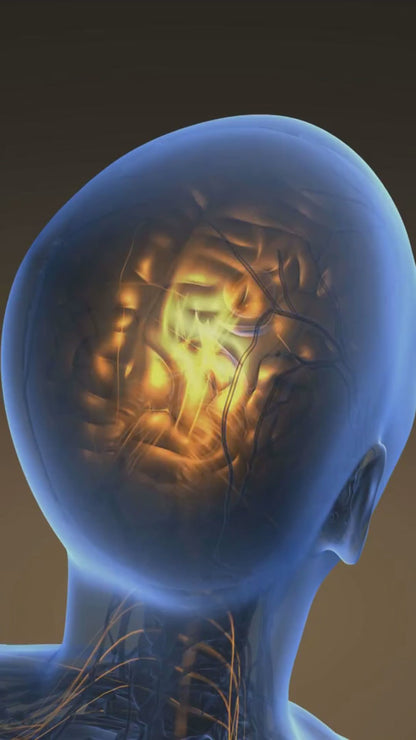 Guía práctica para manejo del estrés y bienestar emocional